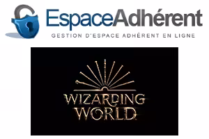 Inscription wizarding world