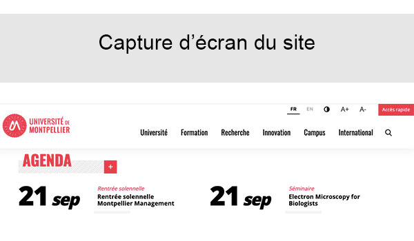 Site web université Montpellier