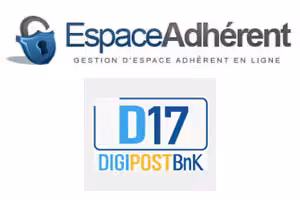Application D17